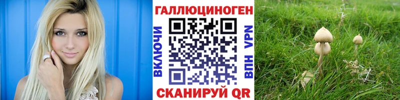 Галлюциногенные грибы GOLDEN TEACHER Дмитров
