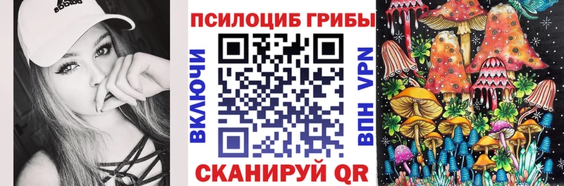 Псилоцибиновые грибы Psilocybine cubensis  Дмитров 